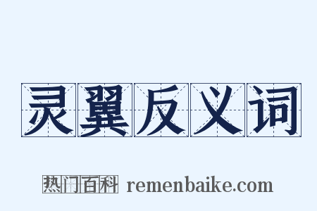灵翼反义词是什么意思的图片